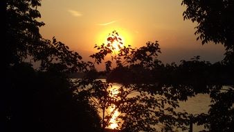 Sunset over black silhouettes of trees
