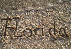 sandy beach of Florida