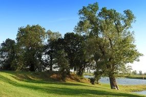 delighting Landscape