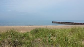 green grass on a sandy beach near the pier