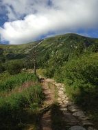 hiking trail in the Polish Tatras on a sunny day