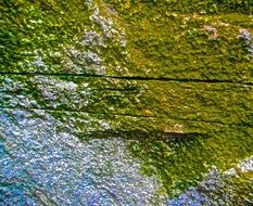 green moss on stone as art