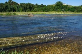 Danube river in Germany