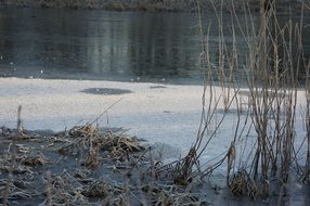 Winter Lake Frost