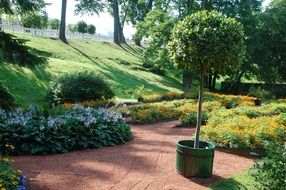picturesque and pretty Tree Barrel Landscape