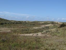 panoramic view of the dunes in the netherlands