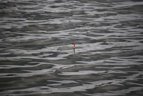 red float on the water