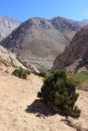 sunny valley in chile