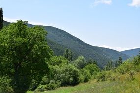 Landscape of the beautiful national park with plants and mountains