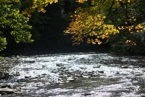 sunny tranquil river in the fall