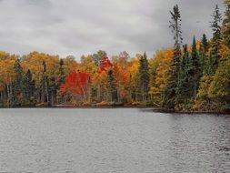 cloudy autumn on the lake