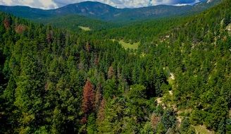 panoramic view of a picturesque valley in green trees