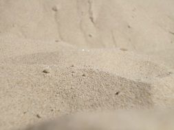 A lot of the sand on the beach in summer