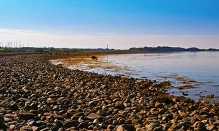 pebbles on coast of the Baltic Sea, denmark, fyns hoved