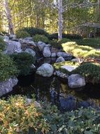 striking Japanese Garden