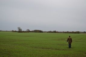 Field Landscape Rural Farm