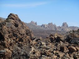 Tenerife Canary