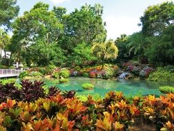 Lagoon in Florida