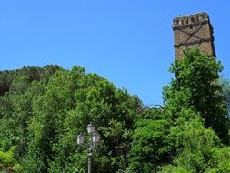 top of medieval tower above green trees, italy, Sessa Aurunca