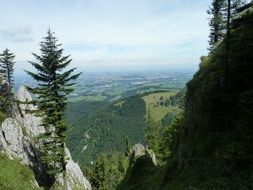 green landscape in alpine mountains in austria