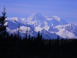 distant view of the highest mountain denali in north america