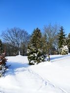 foot prints on the snowy park