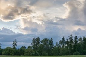 Landscape with the trees in Switzerland