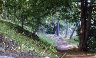 Trail Path Landscape
