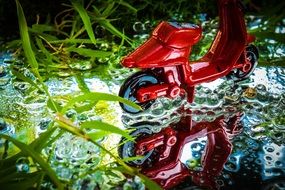 red toy motorcycle on the surface of the water