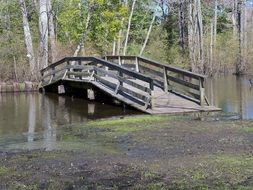 wooden bridge over the river in the park on a sunny day