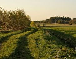 road on a green meadow