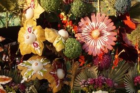 variety of unusual flowers in the garden close-up