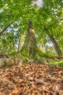 green tree on brown foliage