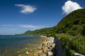 green alps on the sea coast