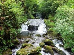 waterfall on a river in a forest