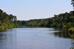 Landscape of Oisterwijk 14 Lakes Tour