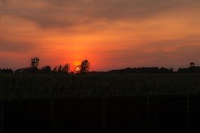 orange sunset over the plain