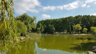 Landscape of green lake in Turkey