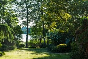 distant view of a lake from a picturesque park in poland