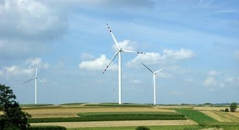 wind turbines on the field on a sunny day