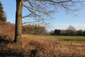 delightful Autumn