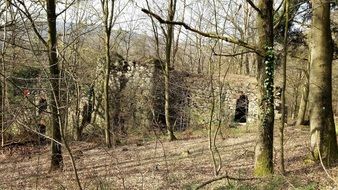 medieval ruins in a forest in austria