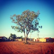 Flying Square Blue Sky Landscape