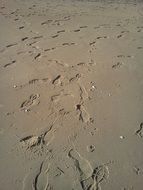 human footprints in the sand on the ocean close-up