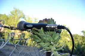 microphone on a artichoke closeup