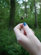Holding acorn in a hand among the green forest