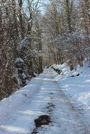 Snowy path in a winter forest