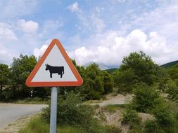 bull on a road sign on a road in spain