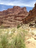 Canyon on a sunny day in Utah