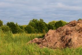 brown hay pile on meadow at summer
